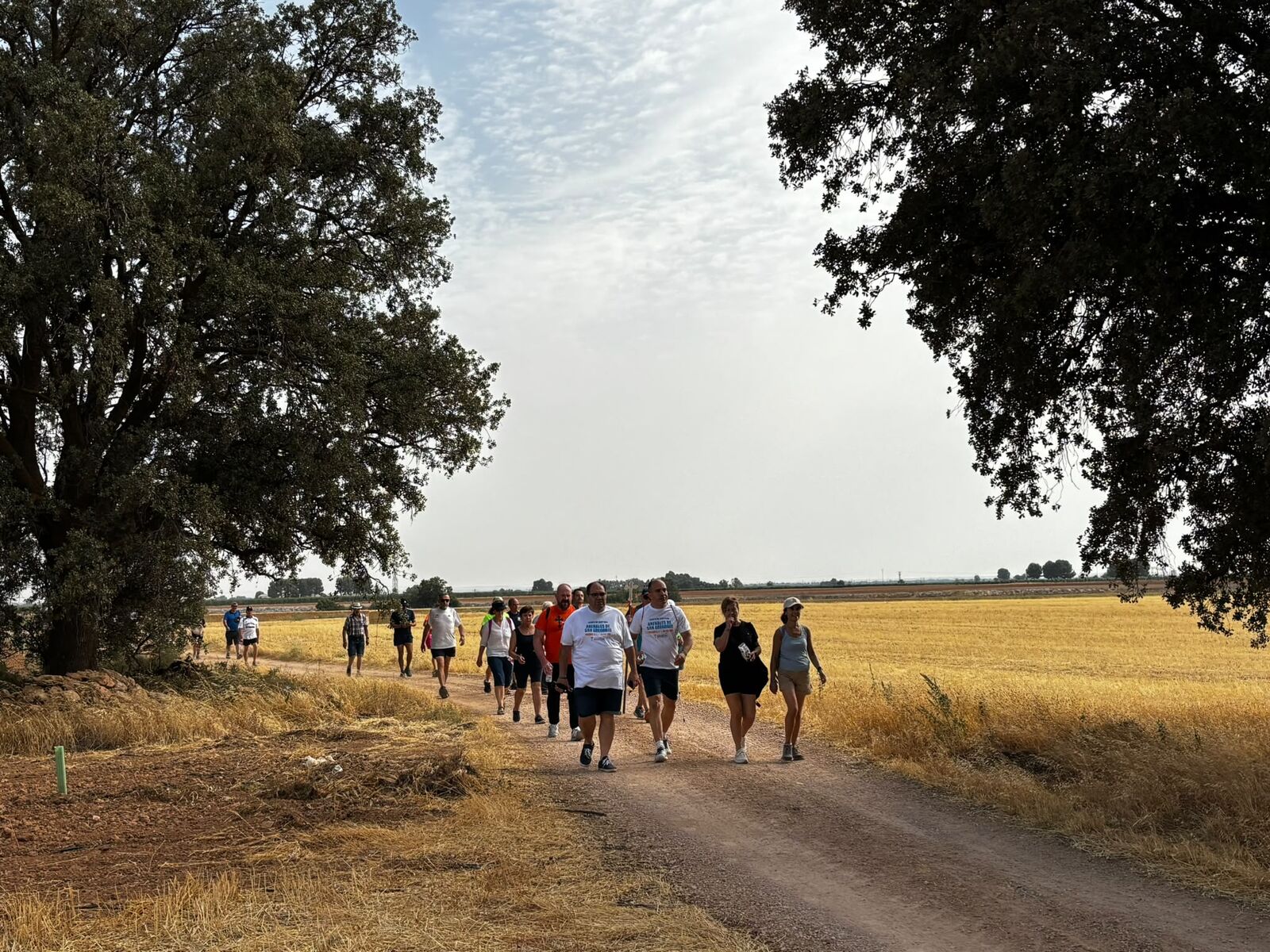 Peregrinos caminando entre campos de cereal