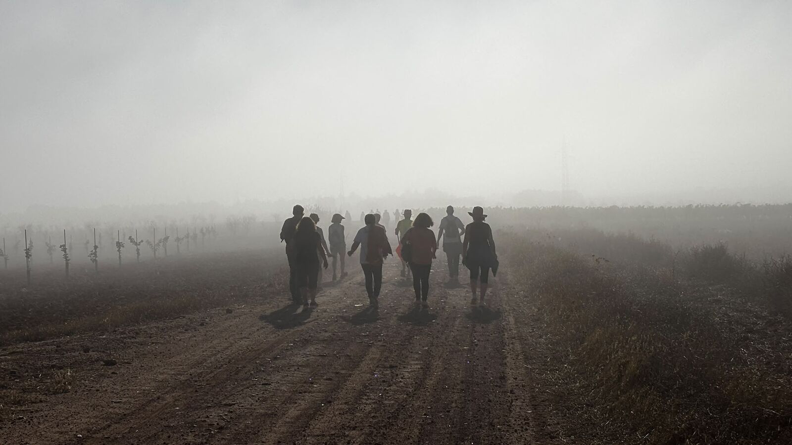 Peregrinos caminando entre la niebla al amanecer