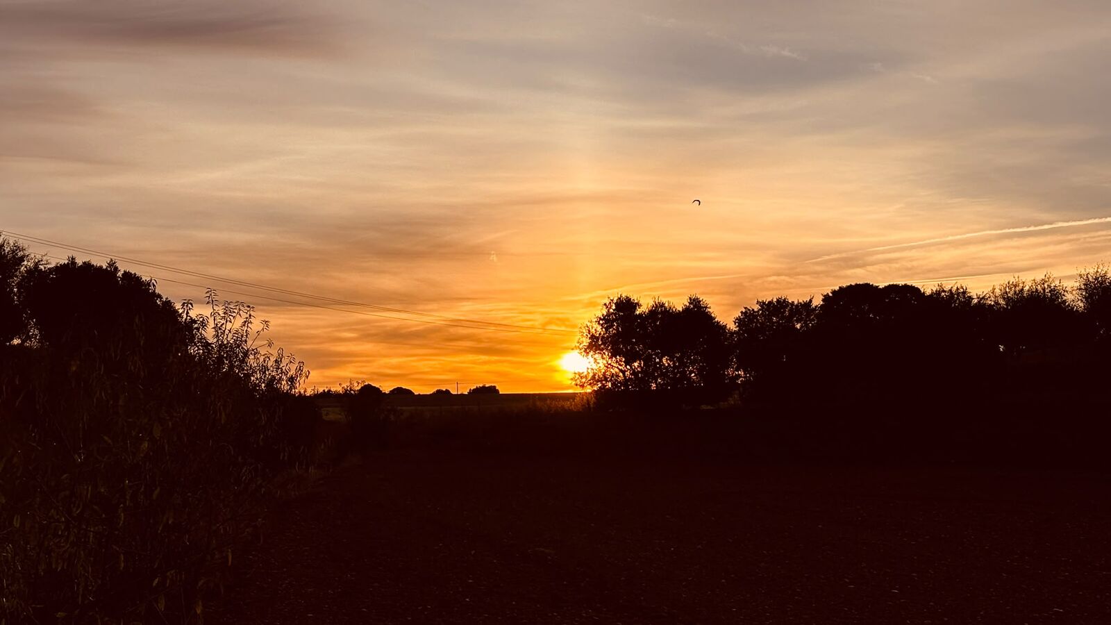Amanecer sobre el campo manchego